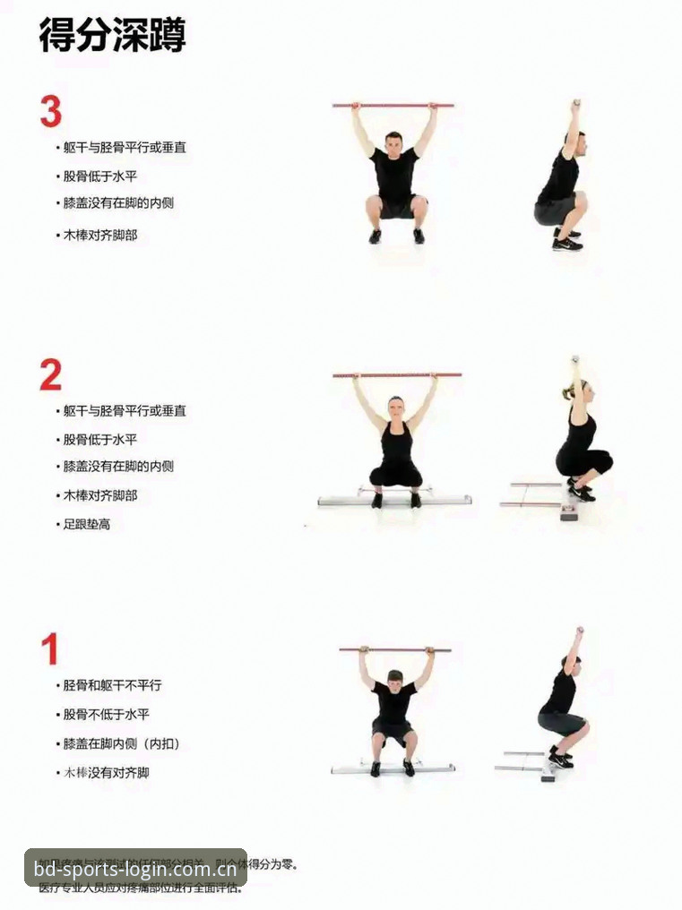 半岛体育平台深度评测：新手入门与功能体验全解析